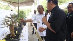 Pj Bupati Buka Pameran dan Kontes Bonsai dalam Rangka Memeriahkan HUT ke-75 Kabupaten Merangin