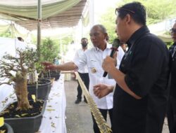 Pj Bupati Buka Pameran dan Kontes Bonsai dalam Rangka Memeriahkan HUT ke-75 Kabupaten Merangin
