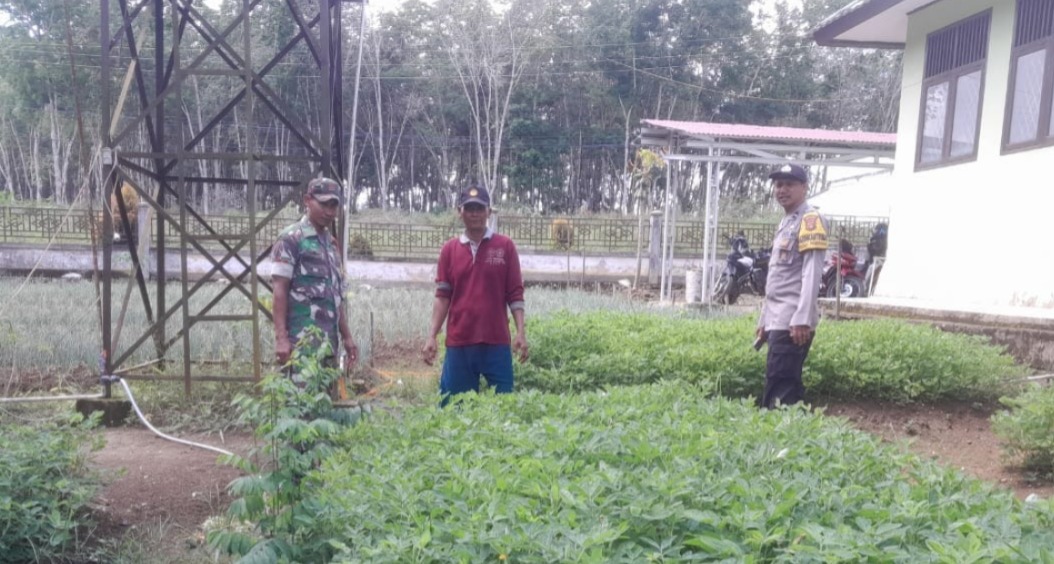 Sinergi TNI-Polri Babinsa dan Babinkamtibmas Dampingi Petani Bersihkan Gulma di Desa Tambang Emas