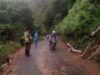 Pohon Tumbang Tutup Jalan Utama, Babinsa Muara Siau Bantu Warga Lakukan Evakuasi Cepat