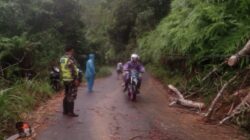 Pohon Tumbang Tutup Jalan Utama, Babinsa Muara Siau Bantu Warga Lakukan Evakuasi Cepat