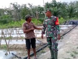 TNI Peduli Pangan Babinsa Koramil 420-02/Muara Limun Bantu Petani di Sarolangun