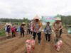 Polres Tebo Bersama Pemda Tanam Jagung Serentak Dukung Ketahanan Pangan