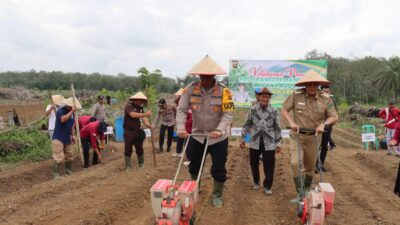 Polres Tebo Bersama Pemda Tanam Jagung Serentak Dukung Ketahanan Pangan