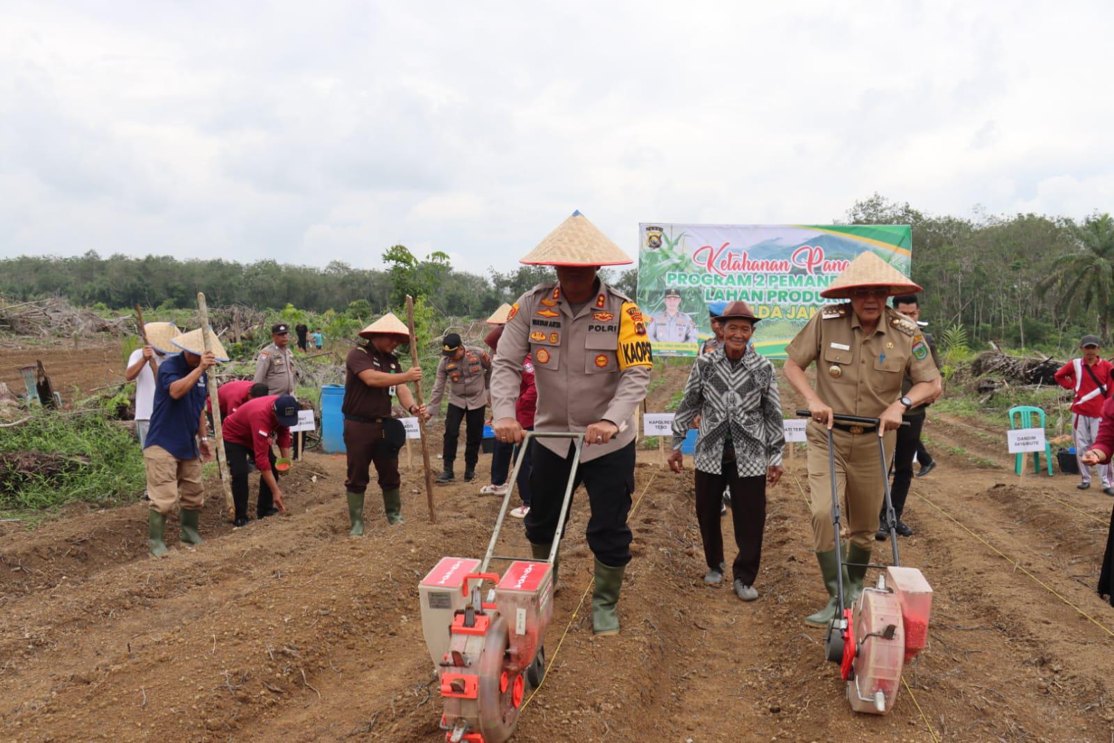 Polres Tebo Bersama Pemda Tanam Jagung Serentak Dukung Ketahanan Pangan