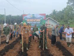 Swasembada Pangan 2025, Penanaman Jagung Serentak di Desa Muara Delang Merangin