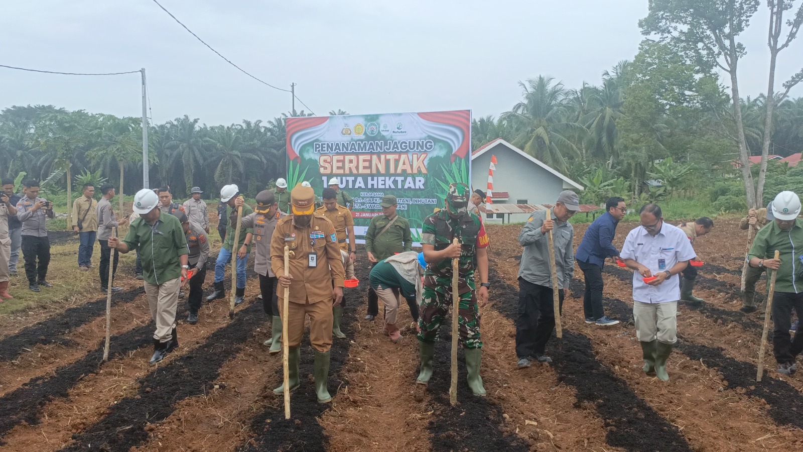 Swasembada Pangan 2025, Penanaman Jagung Serentak di Desa Muara Delang Merangin