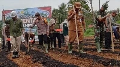 Pj Bupati dan Kapolres Tanam Jagung Serentak satu Juta Hektar di Indonesia, Percepat Swasembada Pangan 2025