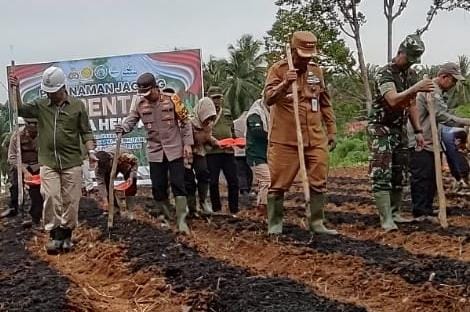 Pj Bupati dan Kapolres Tanam Jagung Serentak satu Juta Hektar di Indonesia, Percepat Swasembada Pangan 2025