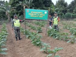 Koramil 420-09/Bangko Kopda Abdullah Laksanakan Pendampingan Petani di Desa Baru Nalo