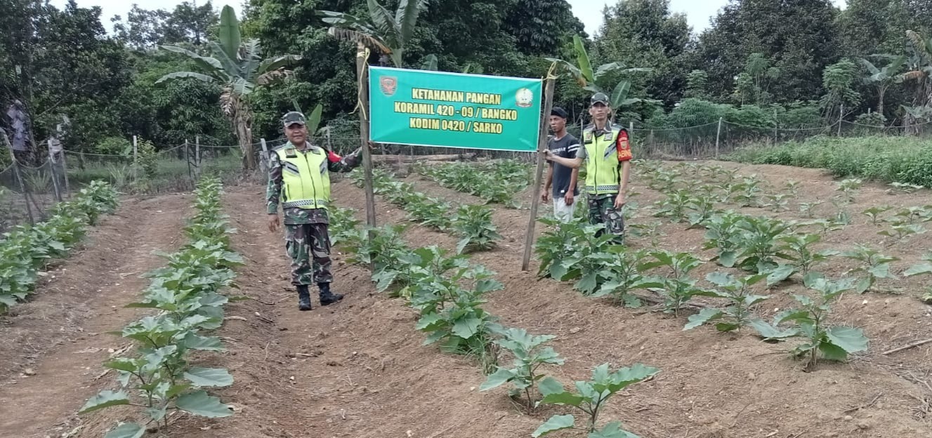 Koramil 420-09/Bangko Kopda Abdullah Laksanakan Pendampingan Petani di Desa Baru Nalo