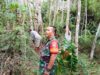 Babinsa Koramil 420-06/Muara Siau Lakukan Monitoring Hutan Desa Air Lago untuk Keberlangsungan Ekosistem