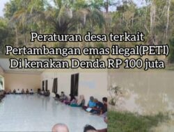 Miris Tidak Ada Tindakan Hukum Yang Tegas Tentang Pemberantasan Penambang Emas Ilegal Di Kecamatan Sumay Desa Punti Kalo