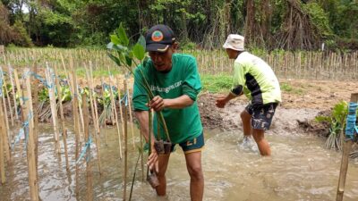 Dampak Nyata LindungiHutan Tanam 978.000 Pohon di Indonesia