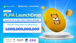 Bittime Gelar LaunchDrop Berhadiah 1 Triliun BabyDoge, Partisipan Capai Ribuan Orang