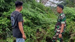 Pemantauan Wilayah Hutan Desa Lubuk Birah: Babinsa Serda Habibul Muin Pastikan Keamanan dan Kelestarian Alam