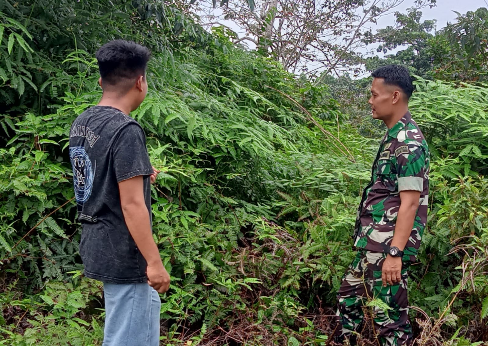 Pemantauan Wilayah Hutan Desa Lubuk Birah: Babinsa Serda Habibul Muin Pastikan Keamanan dan Kelestarian Alam