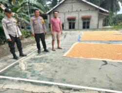 Program Ketahanan Pangan Telah terlihat Hasilnya,Kapolsek Tabir Selatan bersama Masyarakat siapkan Pula Lahan Baru Penanaman Jagung