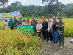 Kolaborasi Antara Instansi Terkait dan Masyarakat Desa Kederasan Panjang Wujudkan Swasembada Pangan, Serda Emil Purwanto Hadirkan Dampak Positif