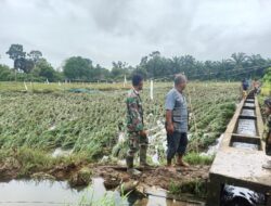 Serda M. Deni Bersama Lurah, Wakil Ketua LPM, dan Ketua Poktan Pantau Sawah Terdampak Banjir di Poktan Rantau Bayur