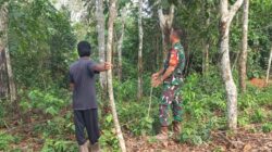 Babinsa Bersama Masyarakat Laksanakan Patroli Karhutla, Himbau Warga untuk Tidak Membakar Lahan* 