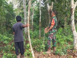 Babinsa Bersama Masyarakat Laksanakan Patroli Karhutla, Himbau Warga untuk Tidak Membakar Lahan* 