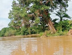 Sempat Tertahan Arus Balik 15 Km,3 jam Sebelum Muara Sungai Merangin di Sungai Tembesi Batu Kucing,36 jam Boakit Merangin Ka Jambi Memasuki Sungai Tembesi