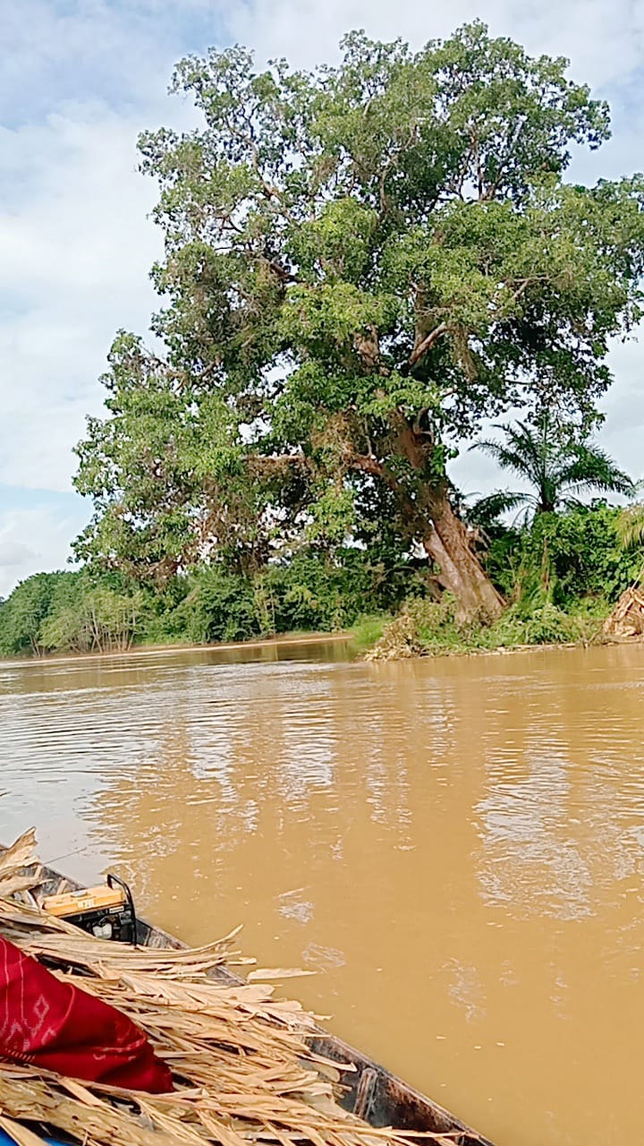 Sempat Tertahan Arus Balik 15 Km,3 jam Sebelum Muara Sungai Merangin di Sungai Tembesi Batu Kucing,36 jam Boakit Merangin Ka Jambi Memasuki Sungai Tembesi