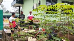 Semangat Jalankan Program Kantor Pangan, Awasi Langsung oleh Kasdim Mayor Inf Usman, S.Ag., MPd.I*