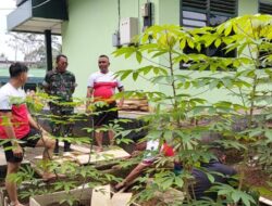 Semangat Jalankan Program Kantor Pangan, Awasi Langsung oleh Kasdim Mayor Inf Usman, S.Ag., MPd.I*