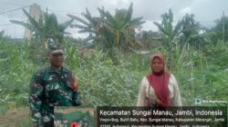 Babinsa Koramil 420 -07/Sungai Manau komsos Dengan Petani, Sebagai Wujud Kepedulian Guna Meningkatkan Hasil