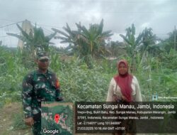 Babinsa Koramil 420 -07/Sungai Manau komsos Dengan Petani, Sebagai Wujud Kepedulian Guna Meningkatkan Hasil