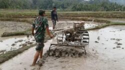 Serka Sunardi, Babinsa Koramil 420-02/Muara Limun Konsisten Dukung dan Turun Langsung ke Lokasi untuk Program Hanpangan