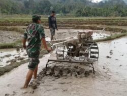 Serka Sunardi, Babinsa Koramil 420-02/Muara Limun Konsisten Dukung dan Turun Langsung ke Lokasi untuk Program Hanpangan