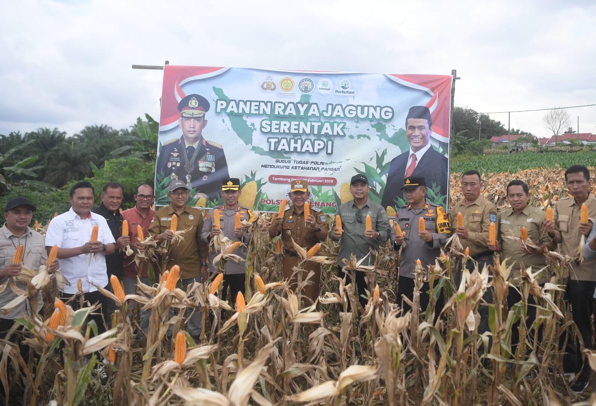 Wabup H A Khafid Bersama Kapolres Panen Raya Jagung tahap Pertama Program Ketahanan Pangan Asta Cita Prabowo-Gibran