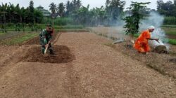 Babinsa Bantu Petani Siapkan Lahan Tanaman Baru Di Desa Binaan