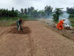 Babinsa Bantu Petani Siapkan Lahan Tanaman Baru Di Desa Binaan