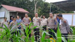 Kapolres Sarolangun Dampingi Langsung Tim Supervisi Polda Jambi Tinjau Langsung Kebun Jagung di Desa Pelawan Jaya 