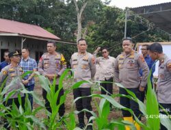 Kapolres Sarolangun Dampingi Langsung Tim Supervisi Polda Jambi Tinjau Langsung Kebun Jagung di Desa Pelawan Jaya 