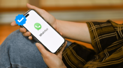 Kenapa Bisnis Perlu Menggunakan WhatsApp Business API?