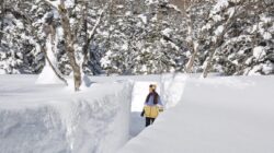 Hanya di Musim Dingin! Dinding Salju Raksasa Setinggi 5 Meter “Tsugaike Snow Wall” di Pegunungan Bersalju dengan Ketinggian 1.500 Meter