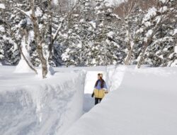 Hanya di Musim Dingin! Dinding Salju Raksasa Setinggi 5 Meter “Tsugaike Snow Wall” di Pegunungan Bersalju dengan Ketinggian 1.500 Meter