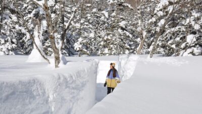 Hanya di Musim Dingin! Dinding Salju Raksasa Setinggi 5 Meter “Tsugaike Snow Wall” di Pegunungan Bersalju dengan Ketinggian 1.500 Meter