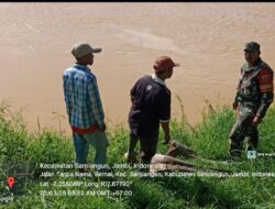 Antisipasi Bencana Banjir dan Tanah Longsor, Babinsa Koramil 420-04/Sarolangun Patroli dan Cek Debit Air di Sungai Tembesi*