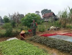 Laksanakan Pendampingan dan Bantu Petani Tanam Sayur Bayam untuk Dukung Ketahanan Pangan Masyarakat