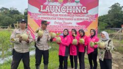 Demi Suksesnya Program 100 Hari Presiden RI ,Kapolsek Bersama Personil Turun Langsung Tanaman Sayuran dan Buah buahan   