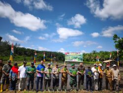 Kasdim 0420/Sarko Mewakili Dandim Bersama Pemkab Merangin Hadir Dalam Zoom Meeting dan Tanam Padi Serentak di Desa Tambang Emas