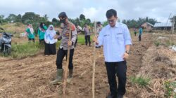 Polsek Bathin VIII Polres Sarolangun Bersama Pemerintahan Kecamatan Laksanakan Program Ketahanan Pangan Penanaman Jagung