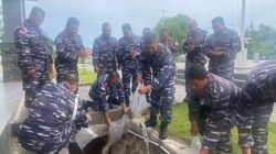 Danlanal Bintan Tabur Bibit Ikan Nila Untuk Mengurangi Pertumbuhan Jentik Nyamuk di Lingkungan Sekitar