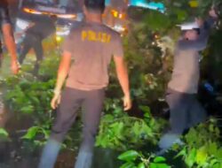 Respons Cepat Satlantas Polres Tebo Amankan Lokasi Pohon Tumbang Di Malam Hari
